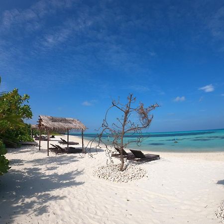 Shamar Guesthouse & Dive Maamigili Exteriér fotografie