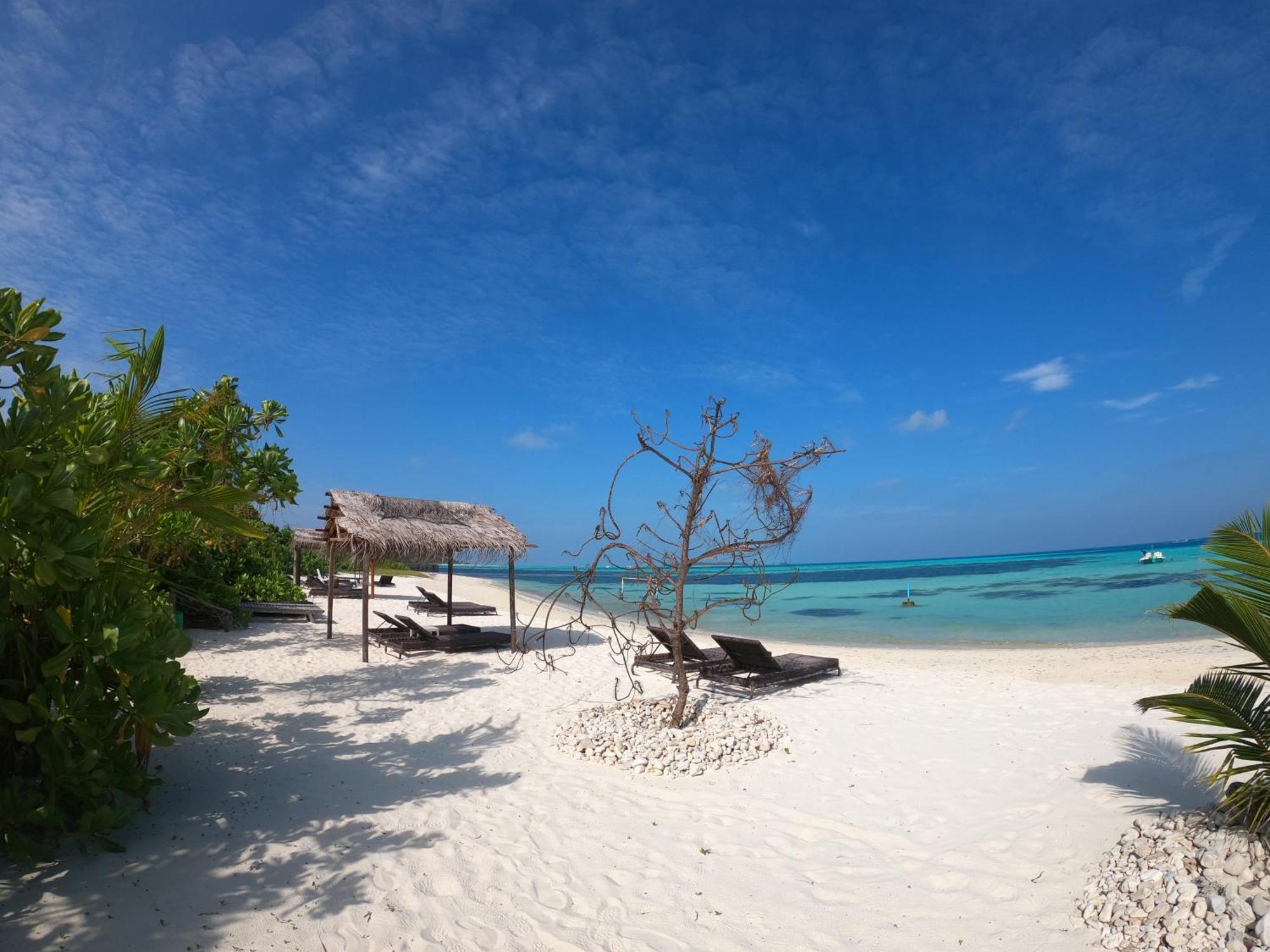 Shamar Guesthouse & Dive Maamigili Exteriér fotografie
